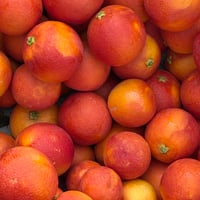 BLOOD ORANGE 青果　5kg