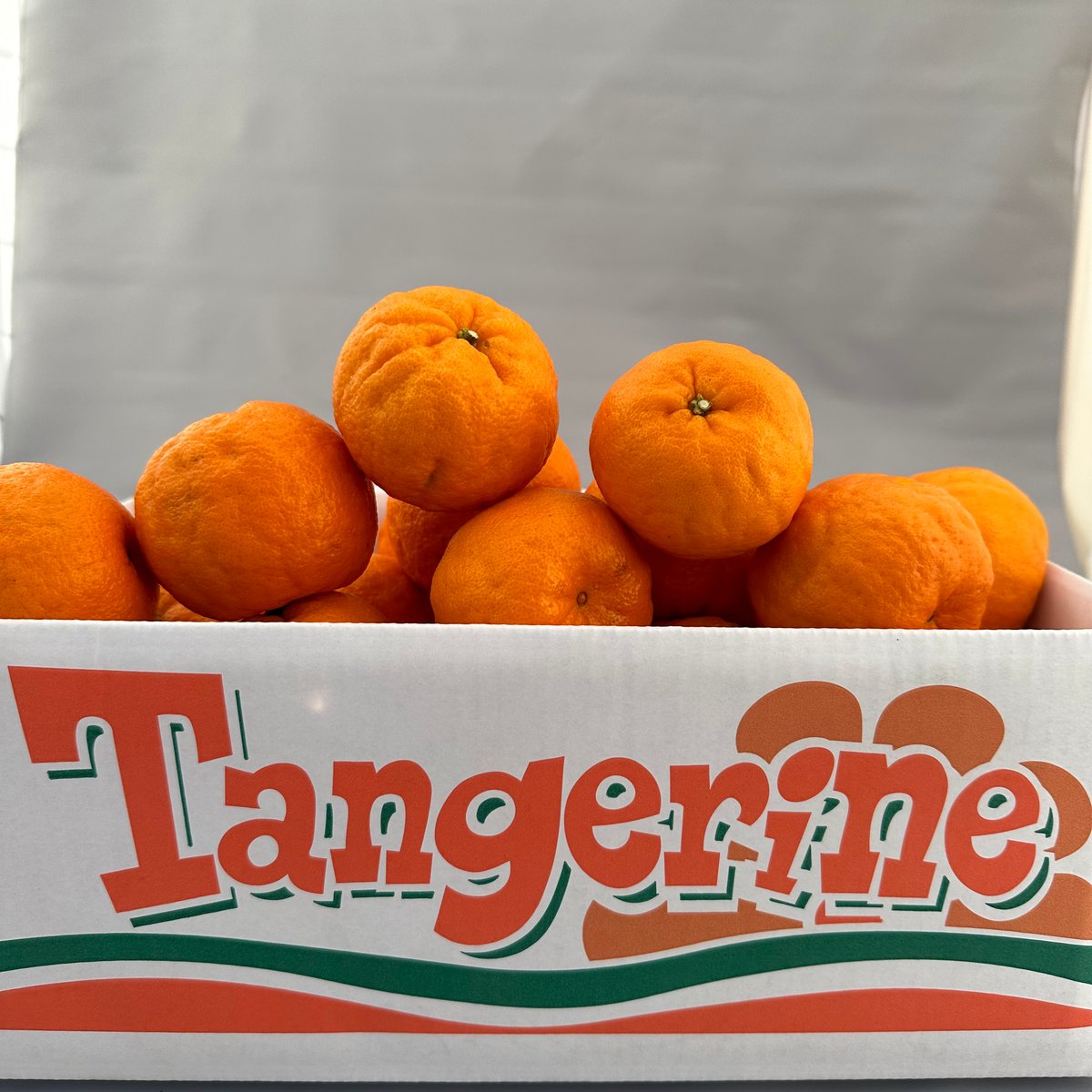 🆕ポンカン -2025-🆕 | Tangerine 🆕ポンカン -2025-🆕 | Tangerine