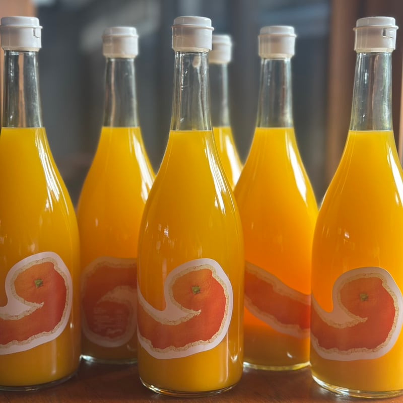 🆕Nankan 20 Juice -2026-🆕 | Tangerine