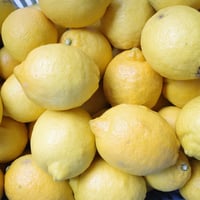 🆕🍋Ms.lemon🍋🆕