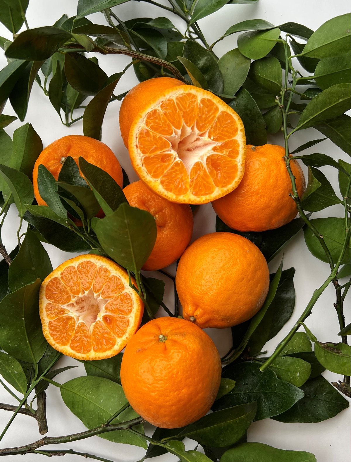 専用。 ②❤みかん＊数量限定❤ちびボアケット＊ポンチョけっと❤シマエナガ 41duppsm2TL.jpg