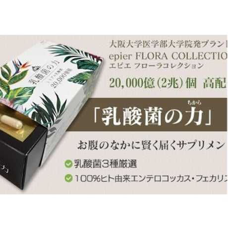 【定期便】乳酸菌の力
