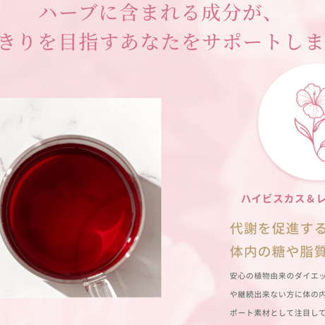 【定期便10%off】Ruby Fit（ルビーフィット）　（キュア）