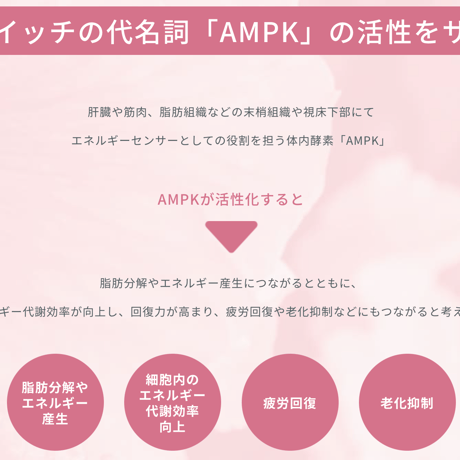 【定期便10%off】Ruby Fit（ルビーフィット）　（キュア）