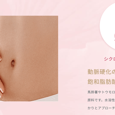 【定期便10%off】Ruby Fit（ルビーフィット）　（キュア）