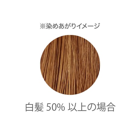 トリートメントへナカラー　〈オレンジブラウン〉（リセラ）