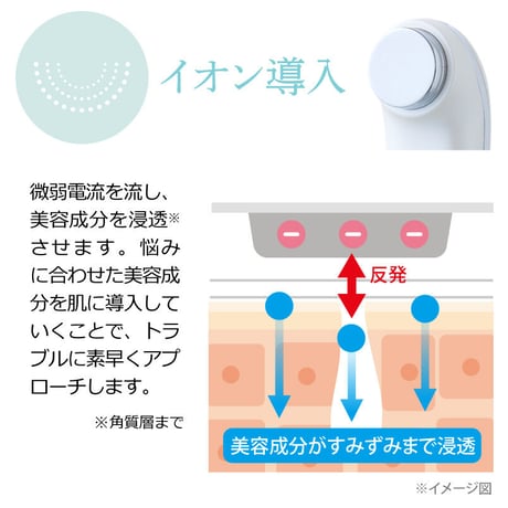 セルビースキン　（リセラ）