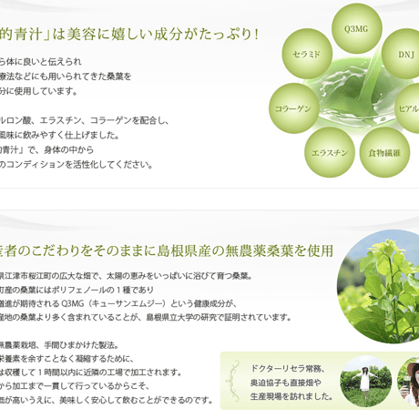 美的青汁30包　（リセラ）