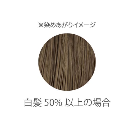 トリートメントへナカラー　〈ライトブラウン〉（リセラ）
