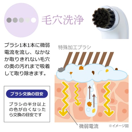 セルビースキン　（リセラ）