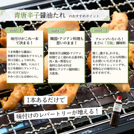 青唐辛子醤油たれ 550g