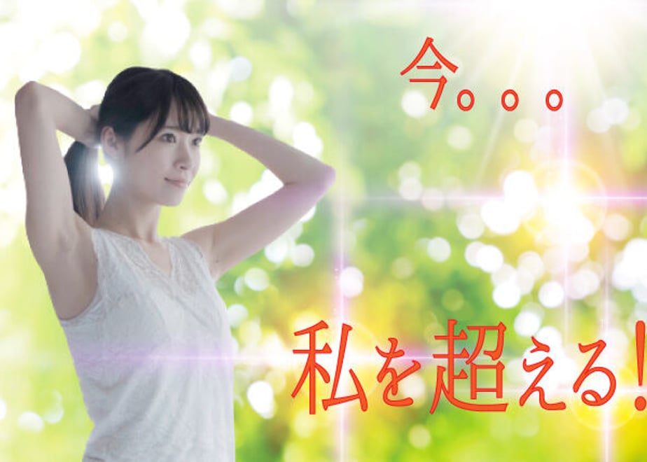 62d8087c9b47bf6453a84b86