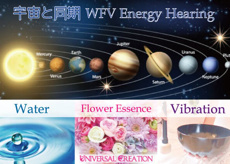 個人用「私のルーツ私のパターン解除私の本当の人生」山羊座新月★蟹座満月WFV＊Energy Hearing