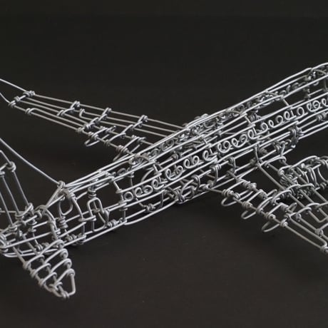 ボーイング737/ Boeing737 【ワイヤークラフト】