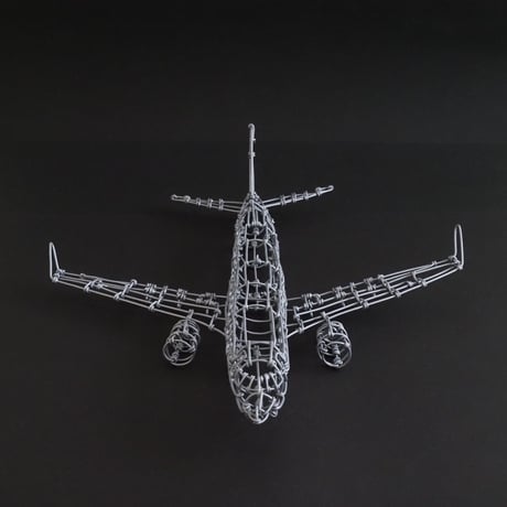 ボーイング737/ Boeing737 【ワイヤークラフト】