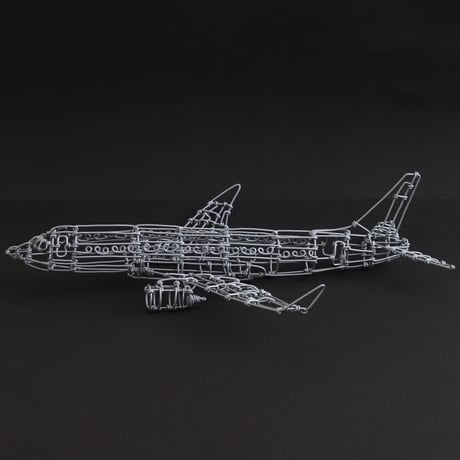 ボーイング737/ Boeing737 【ワイヤークラフト】
