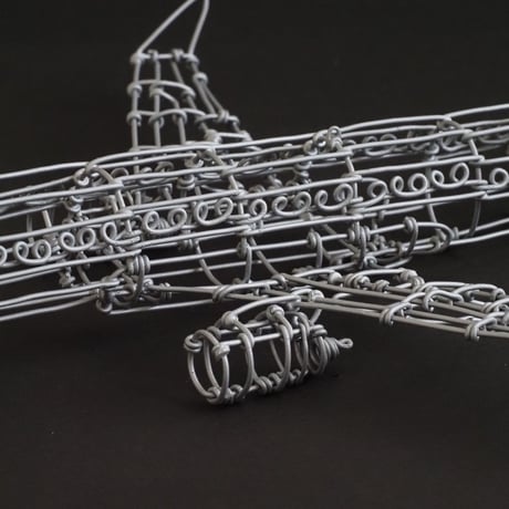 ボーイング737/ Boeing737 【ワイヤークラフト】