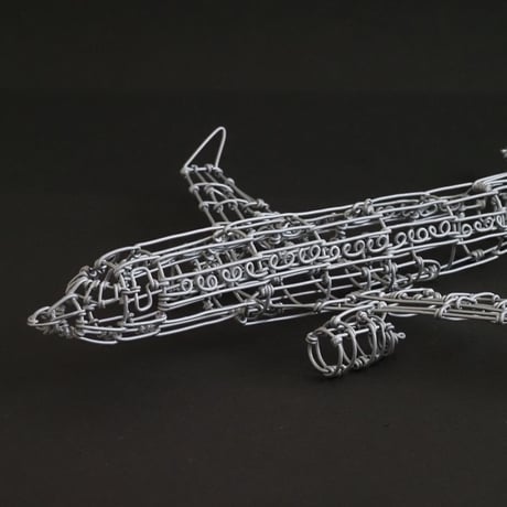 ボーイング737/ Boeing737 【ワイヤークラフト】