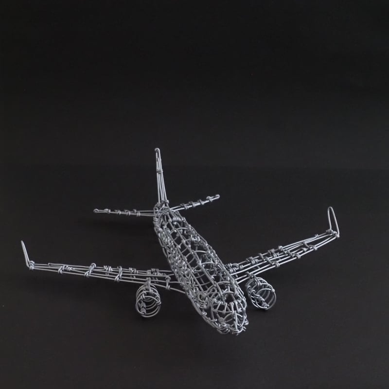 ボーイング737/ Boeing737 【ワイヤークラフト】 | WIREISM