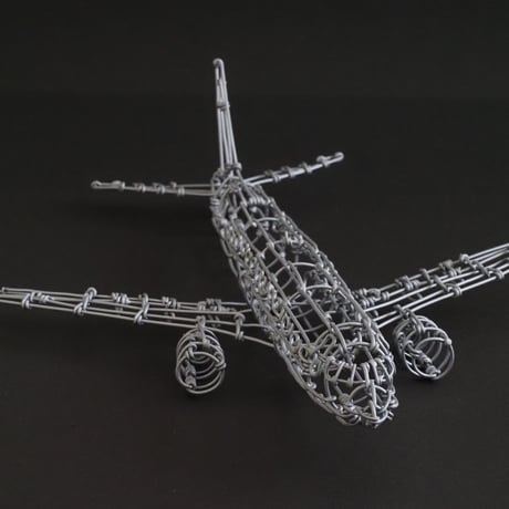 ボーイング737/ Boeing737 【ワイヤークラフト】