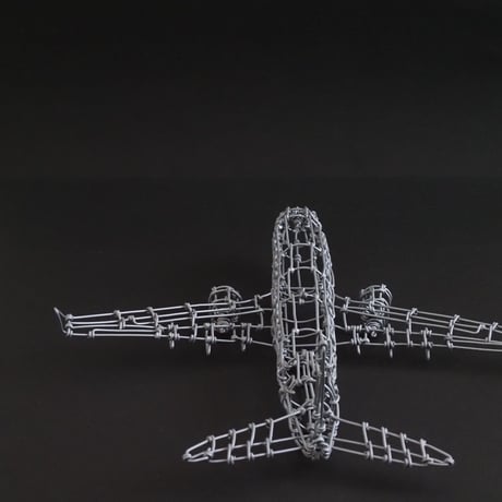 ボーイング737/ Boeing737 【ワイヤークラフト】