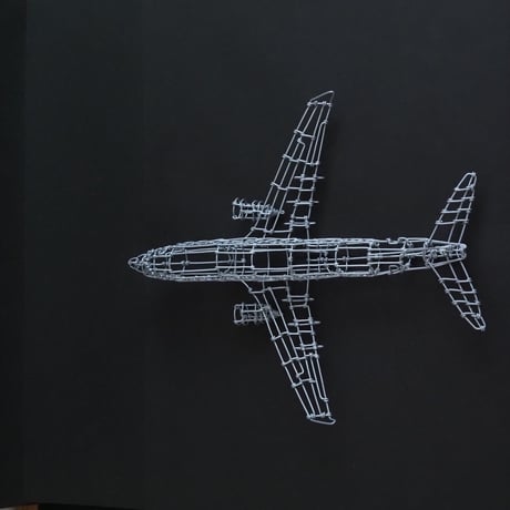 ボーイング737/ Boeing737 【ワイヤークラフト】