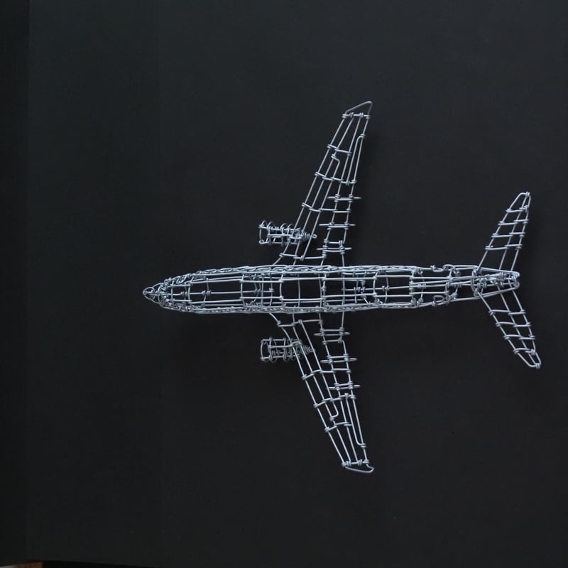 ボーイング737/ Boeing737 【ワイヤークラフト】 | WIREISM