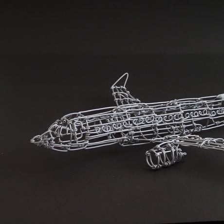 ボーイング737/ Boeing737 【ワイヤークラフト】
