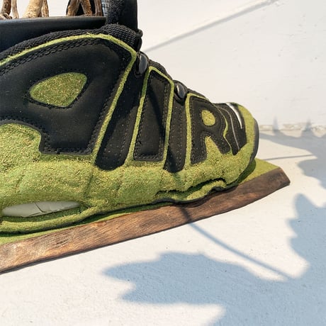 SHOETREE