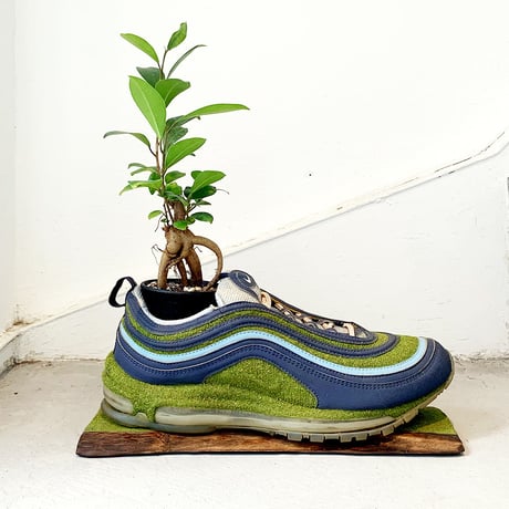SHOETREE