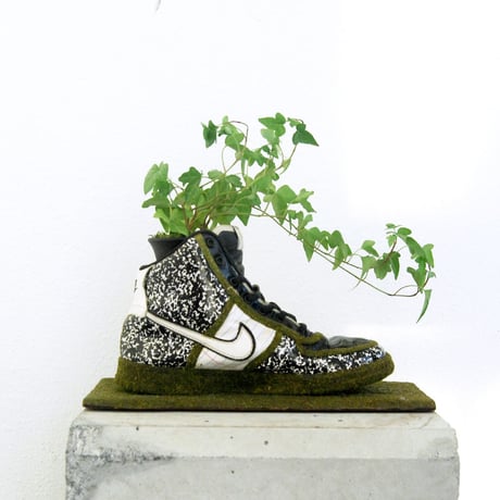 SHOETREE