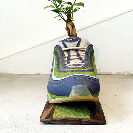 SHOETREE