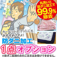 防ﾀﾞﾆ加工　オプション