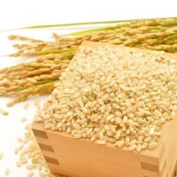 特別契約無農薬・無肥料米 3kg