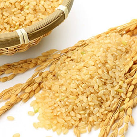 特別契約無農薬・無肥料米 3kg