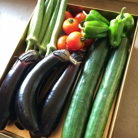 おおきな樹の畑「季節の野菜セット」2000円分 ※要冷蔵便