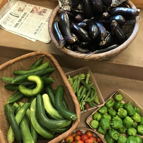 おおきな樹の畑「季節の野菜セット」1000円分 ※要冷蔵便