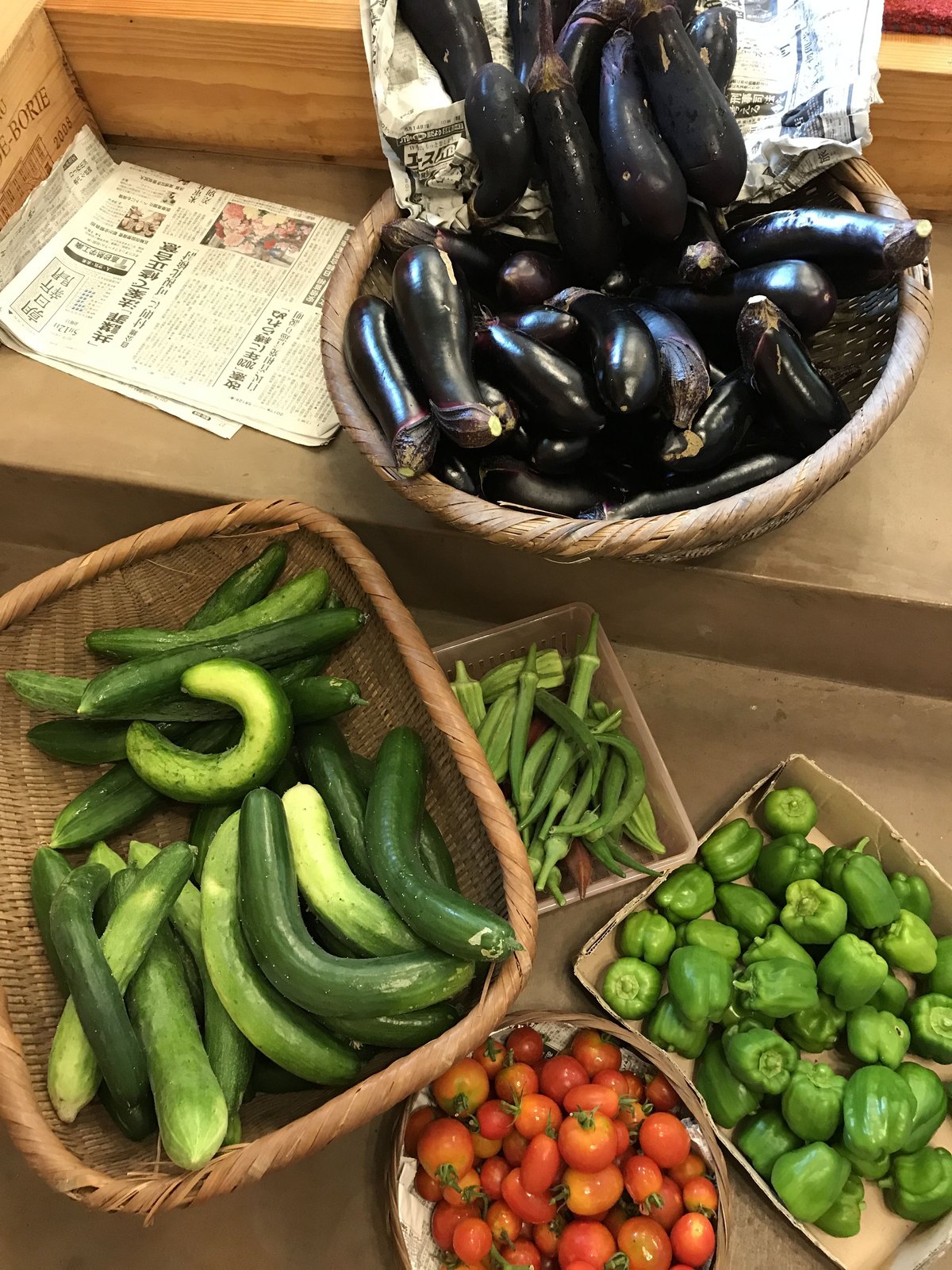 おおきな樹の畑「季節の野菜セット」1000円分 ※要冷蔵便