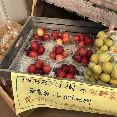 おおきな樹の畑「季節の野菜セット」2000円分 ※要冷蔵便