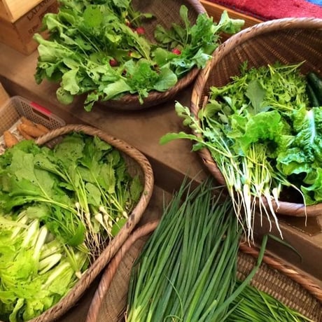 おおきな樹の畑「季節の野菜セット」2000円分 ※要冷蔵便