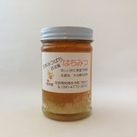 日本みつばち はちみつ 大分