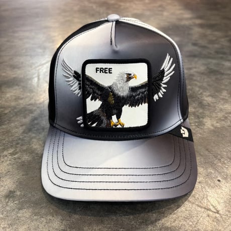 Goorin Brothers Steal This Hat cap  Snapback  GO-05 COLOR VOID