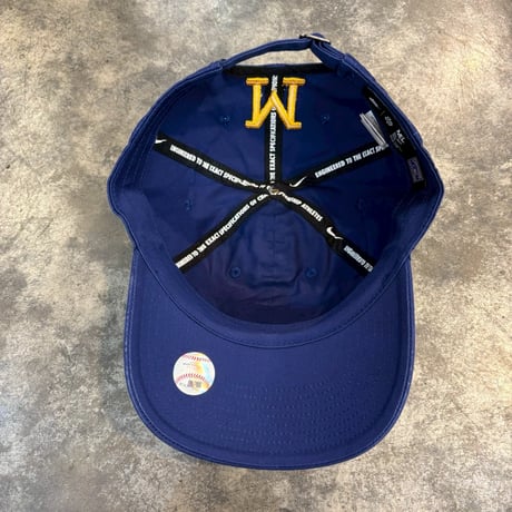 日本未発売モデル NIKE×Milwaukee Brewers  ROYAL N-155