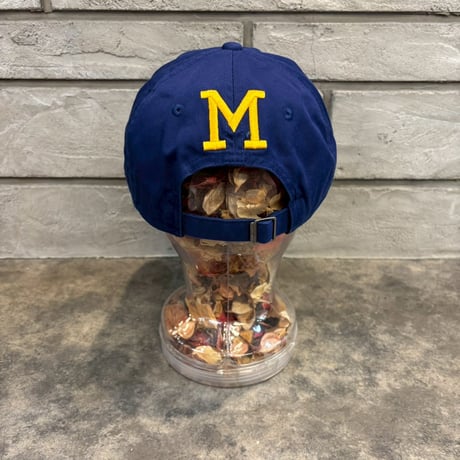 日本未発売モデル NIKE×Milwaukee Brewers  ROYAL N-155