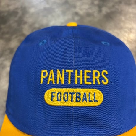 USA買付　NIKE×Pitt Panthers Colorblock Club Adjustable cap - Royal  N-199