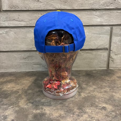 USA買付　NIKE×Pitt Panthers Colorblock Club Adjustable cap - Royal  N-199