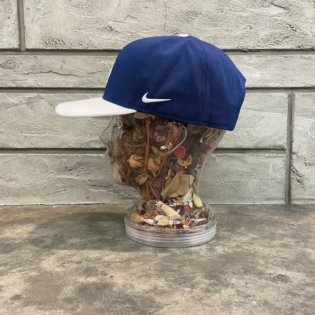 日本未発売モデル NIKE×LOSANGELS DODGERS TWOTONE ROYAL
