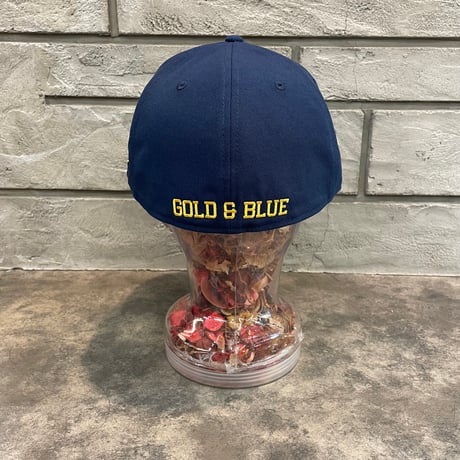 日本未発売モデル  NIKE X WEST VIRGINIA MOUNTAINEERS  -NAVY  7/2159.6cm N-117