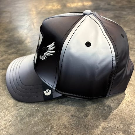 Goorin Brothers Steal This Hat cap  Snapback  GO-05 COLOR VOID