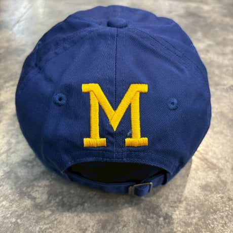 日本未発売モデル NIKE×Milwaukee Brewers  ROYAL N-155